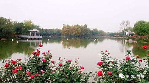 互动桌面最新爆料下载,揭秘未来智能交互新趋势  第3张